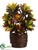 Croton Plant - Green Orange - Pack of 1