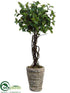 Silk Plants Direct Cedar Gum Topiary - Green - Pack of 1