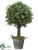 Boxwood Ball Topiary - Green - Pack of 1