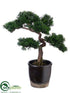 Silk Plants Direct Cedar Bonsai Tree - Green - Pack of 1