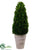 Preserved Boxwood Cone Topiary - Green - Pack of 1