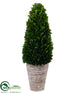 Silk Plants Direct Preserved Boxwood Cone Topiary - Green - Pack of 1