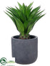 Silk Plants Direct Agave Plant - Green - Pack of 1