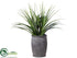 Silk Plants Direct Dracaena Plant - Green - Pack of 1