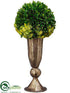 Silk Plants Direct Boxwood, Sedum - Green - Pack of 1