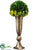 Boxwood, Sedum - Green - Pack of 1