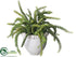 Silk Plants Direct Succulent - Green - Pack of 1