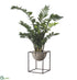 Silk Plants Direct Zamioculcas - Green - Pack of 1