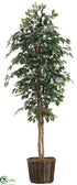 Silk Plants Direct Ficus Tree - Green - Pack of 1