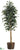 Ficus Tree - Green - Pack of 1