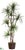 Yucca Tree - Green - Pack of 1