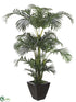 Silk Plants Direct Kentia Palm Tree - Green - Pack of 1