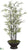 Bamboo Tree - Green - Pack of 1