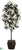 Magnolia Tree - White - Pack of 1