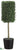 Boxwood Topiary - Green - Pack of 1