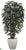 Rhapis Palm Tree - Green - Pack of 1