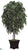 Mango Tree - Green - Pack of 1