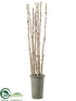 Silk Plants Direct Birch Pole - - Pack of 1