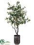 Silk Plants Direct Ficus Tree - Green - Pack of 1