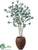 Olive Tree - Green - Pack of 1