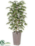 Silk Plants Direct Birch Tree - Green - Pack of 1