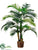 Hearts Palm Tree - Green - Pack of 1