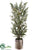 Eucalyptus Tree - Green - Pack of 1