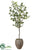 Laurel Tree - Green - Pack of 1