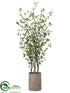 Silk Plants Direct Cornus Tree - Green - Pack of 1