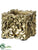 Terra Cotta Container - Gold Antique - Pack of 12