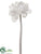 Glittered Mesh Amaryllis Spray - White - Pack of 6