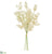 Eucalyptus Seed Bundle - Cream - Pack of 12