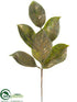 Silk Plants Direct Magnolia Leaf Spray - Green Gold - Pack of 36