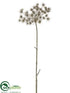 Silk Plants Direct Cow Parsnip Spray - Brown Ice - Pack of 6