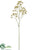 Aralia Bud Spray - Beige - Pack of 12