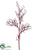 Brushwood Twig Branch - Red - Pack of 12