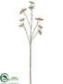 Silk Plants Direct Cotton Pod Spray - Brown Light - Pack of 24