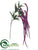 Amaranthus Spray - Fuchsia - Pack of 12