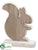 Squirrel - Brown White - Pack of 24