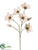 Magnolia Spray - Beige - Pack of 12