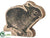 Rabbit - Brown Gold - Pack of 12