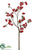 Berry Branch - Red - Pack of 6