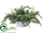 Pine, Succulent Arrangement - Green Gray - Pack of 1