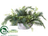 Silk Plants Direct Pine, Succulent Arrangement - Green Gray - Pack of 1