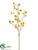 Dogwood Spray - Gold - Pack of 6