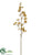 Viburnum Spray - Gold - Pack of 12