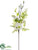 Magnolia, Cone, Fern Spray - Cream - Pack of 12