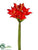 Amaryllis Spray - Orange Red - Pack of 12