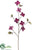 Glittered Velvet Dogwood Spray - Eggplant - Pack of 12