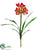 Amaryllis Spray - Red Yellow - Pack of 8